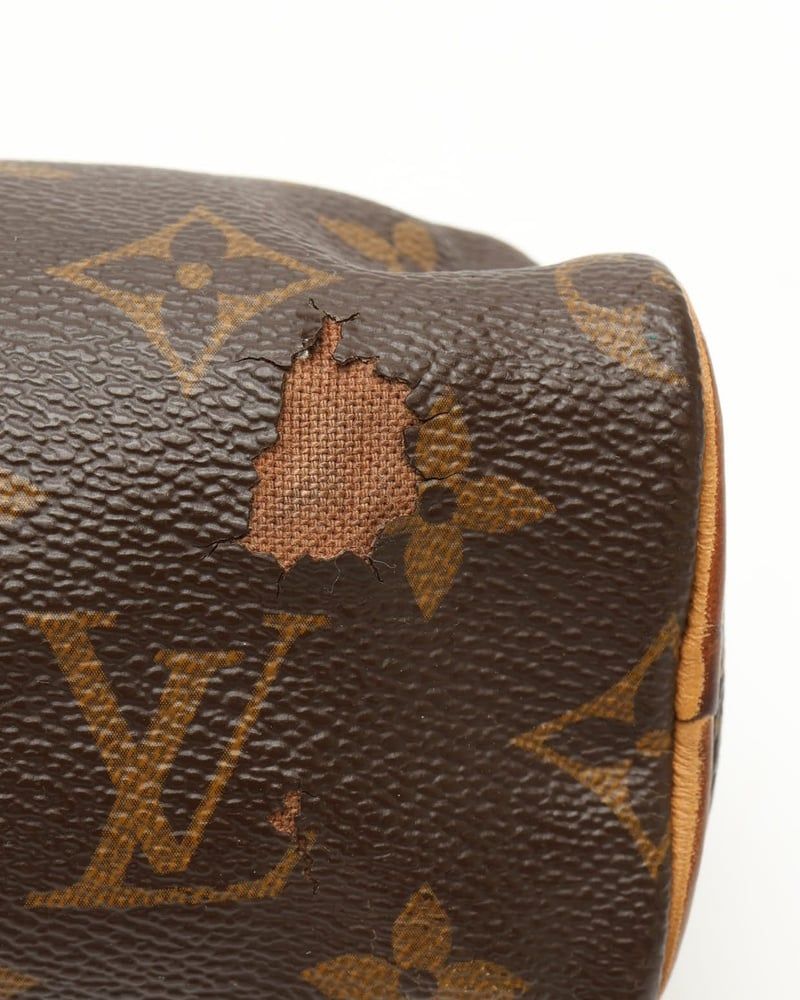Louis Vuitton Monogram Nano Speedy Bag