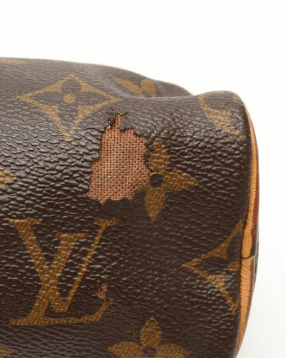 Louis Vuitton Monogram Nano Speedy Bag