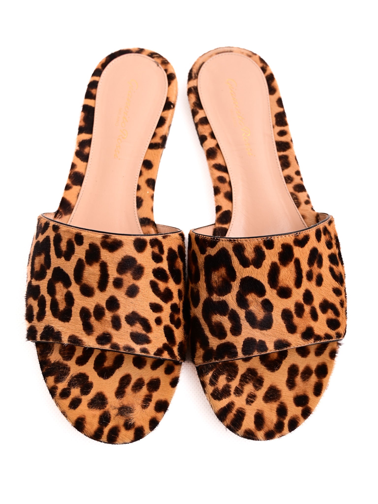 Good Gianvito Rossi Yellow Leopard Print Slide Sandals Size 38.5
