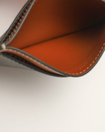 Celine Triomphe Canvas With Celine Print