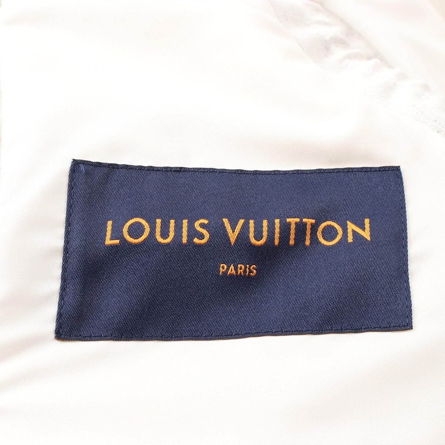 Louis Vuitton Snow Down Gilet Vest