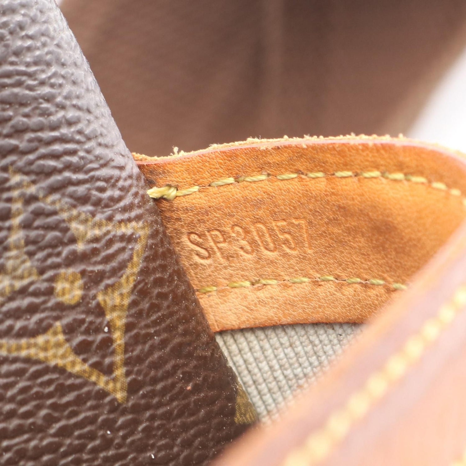 Louis Vuitton Reporter PM, Monogram