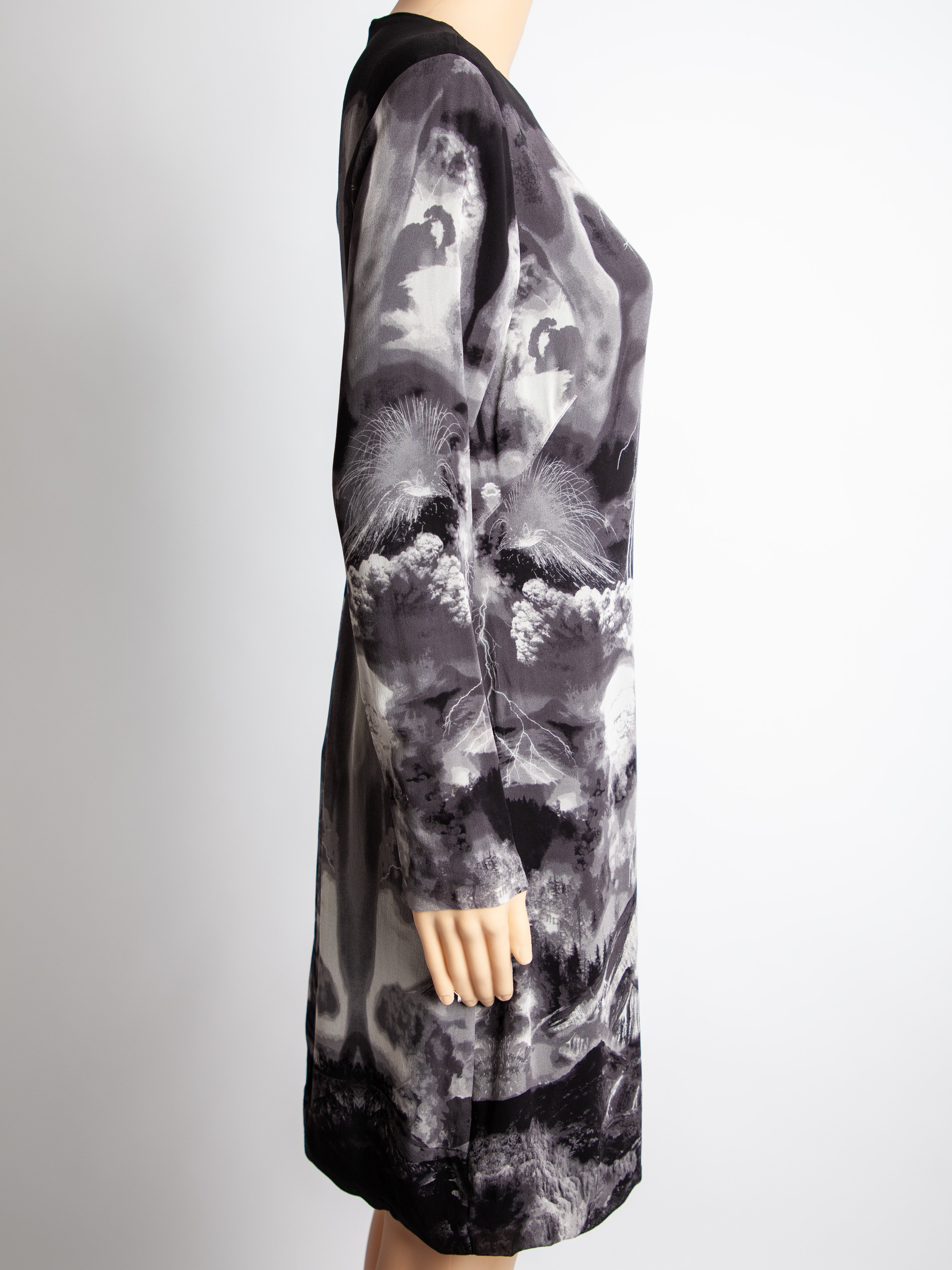 Good Alexander McQueen Gray Silk Dress Long Sleeve Stormy Print