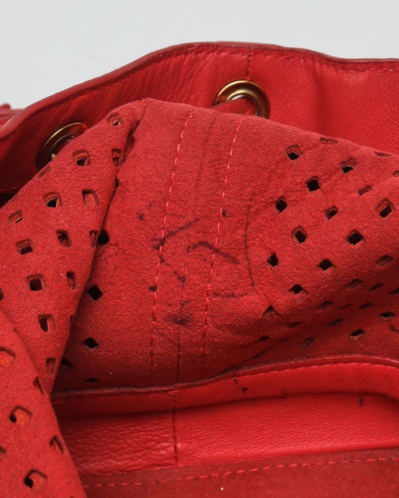 Louis Vuitton Limited Edition Flore Noé Gm Bag
