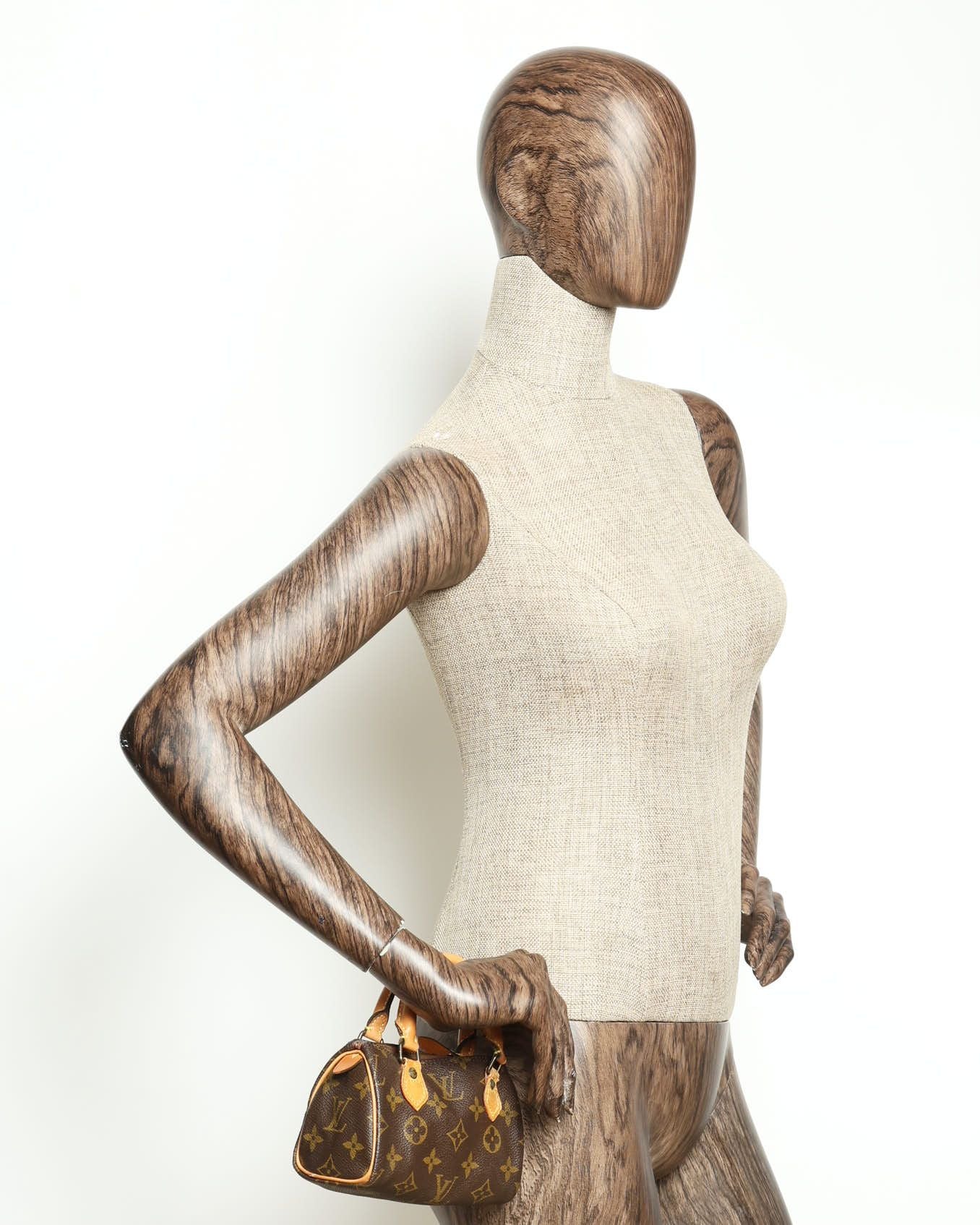 Louis Vuitton Monogram Nano Speedy Bag