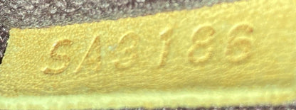 Louis Vuitton Favorite MM, Monogram