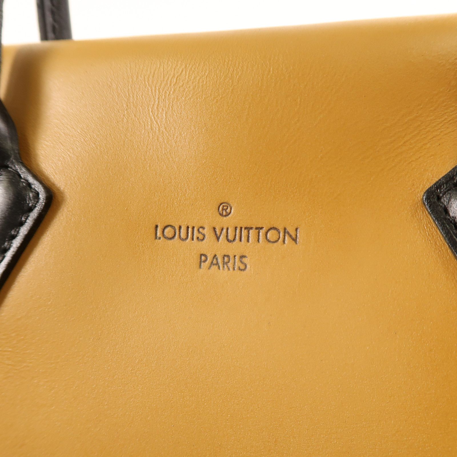 Louis Vuitton Cowhide Leather/monogram Tote W Pm Kinpaku Bag