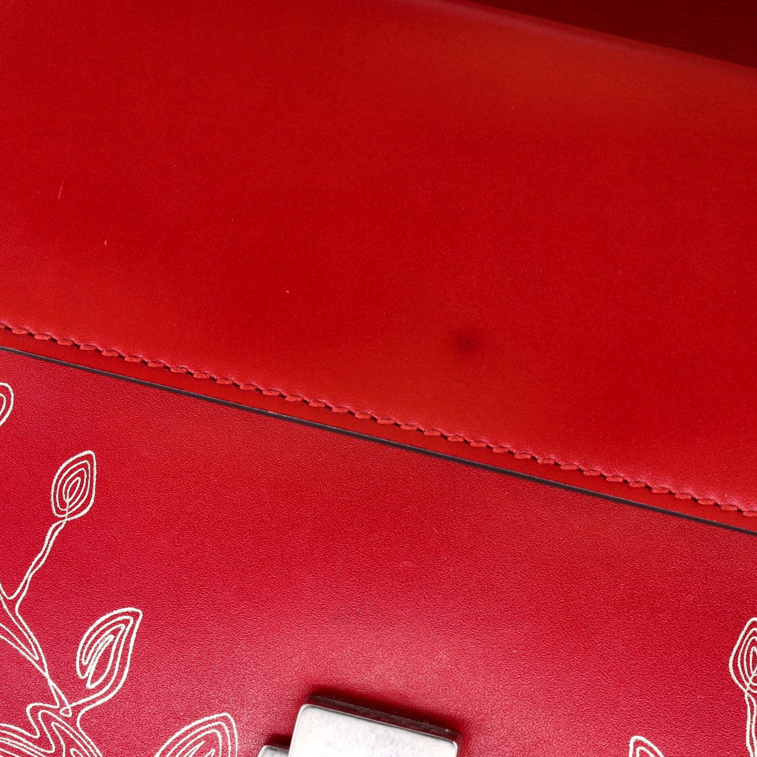 Gucci Dionysus Bag Limited Edition Painted Leather Mini