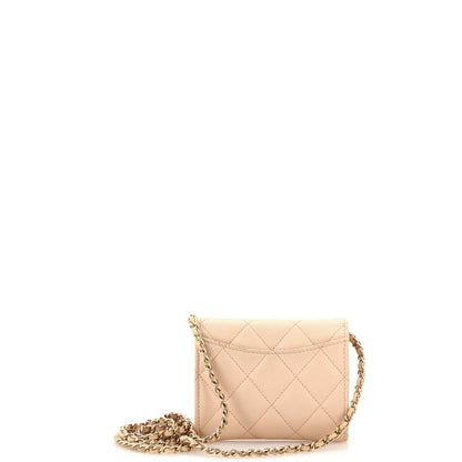 Classic Zip Around Card Holder On Chain Quilted Caviar Mini