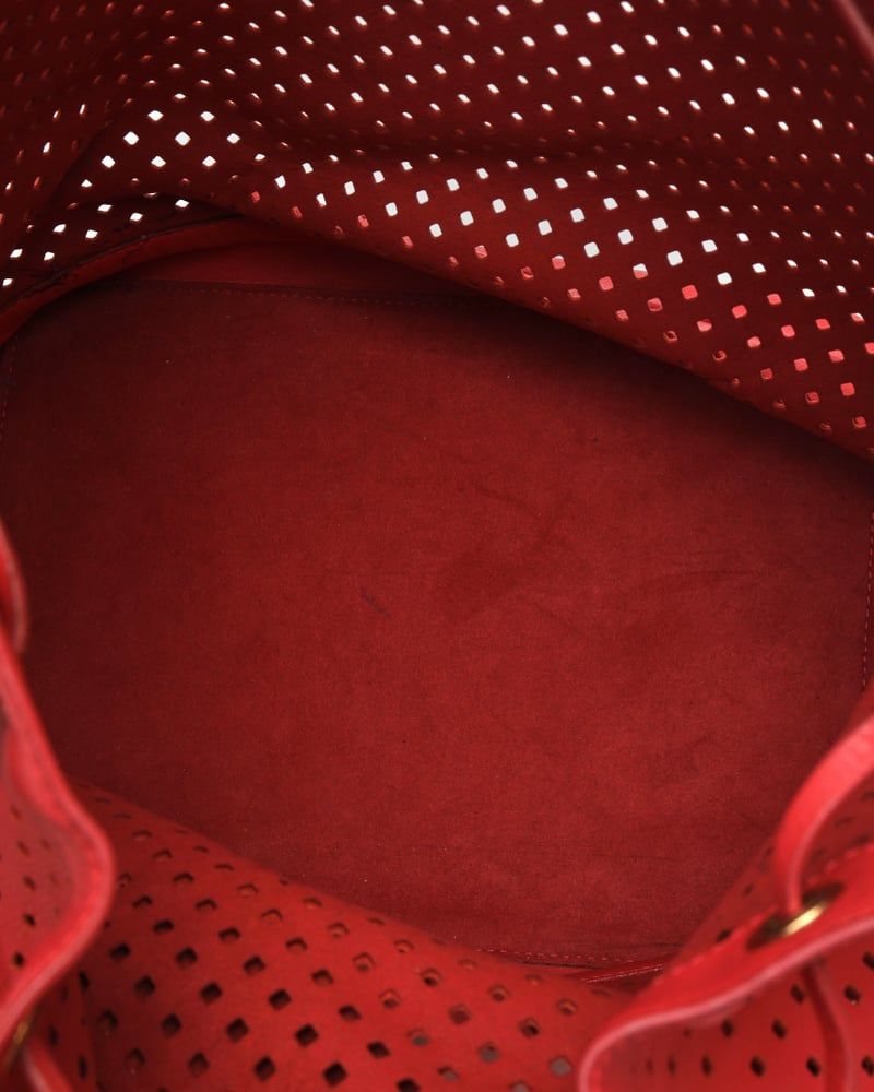 Louis Vuitton Limited Edition Flore Noé Gm Bag