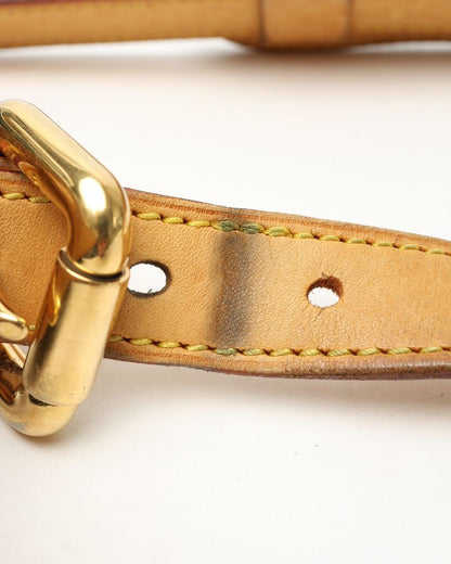 Louis Vuitton Monogram Hudson GM Bag