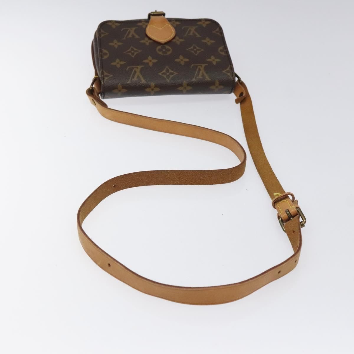 Louis Vuitton Cartouchiere PM, Monogram