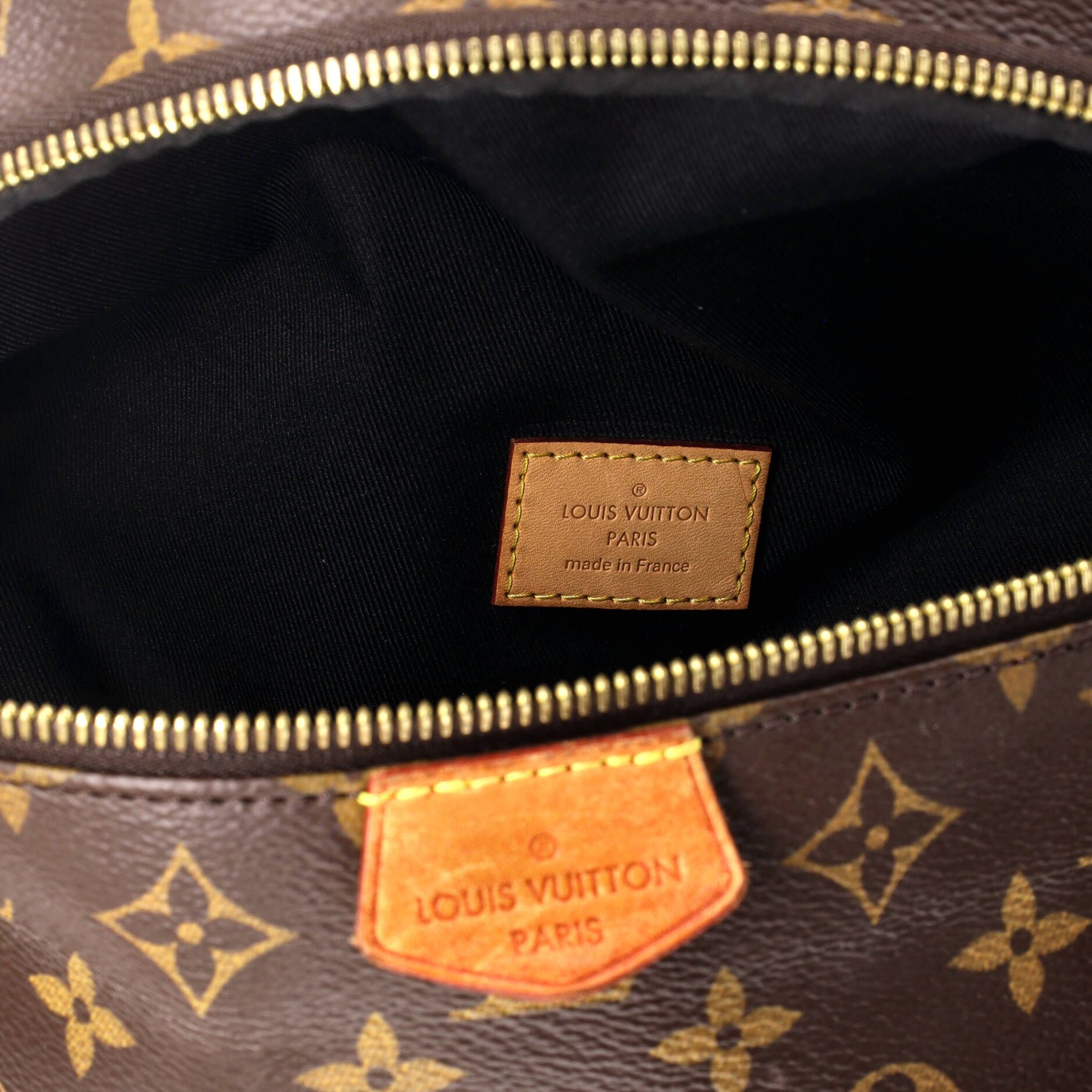 Louis Vuitton Bum Bag Monogram Canvas