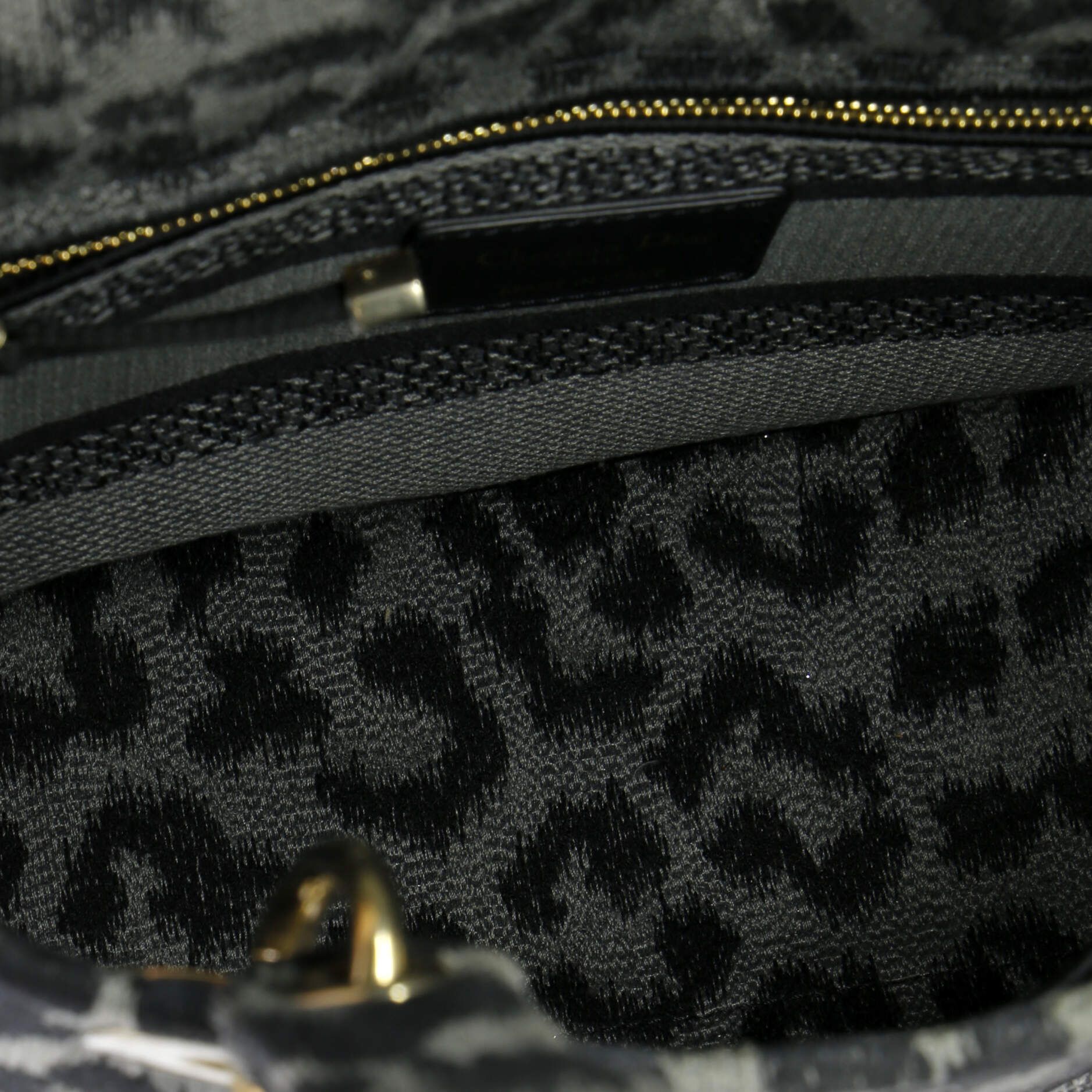 Christian Dior Lady D-Lite Bag Mizza Embroidered Canvas Medium
