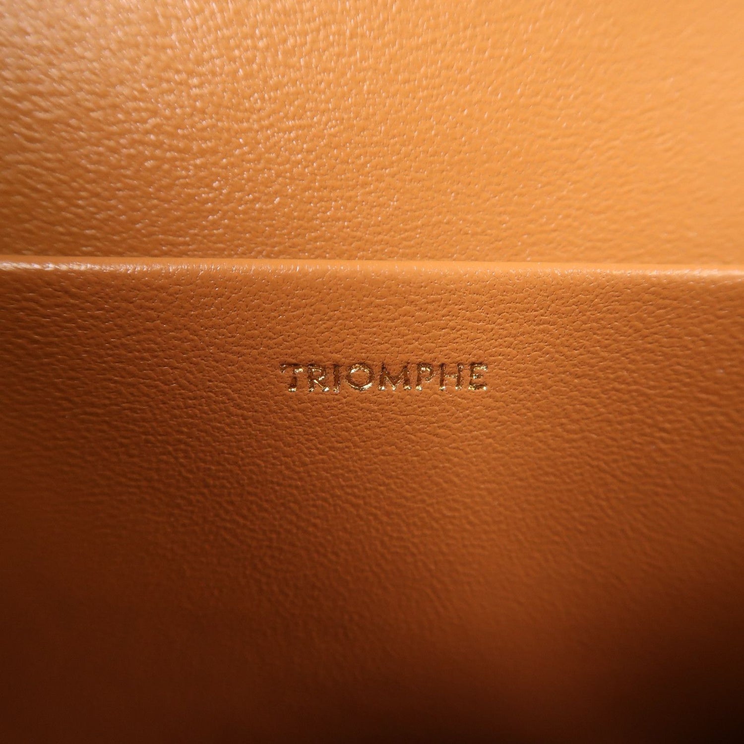 Celine Canvas Classique Triomphe Bag Gold Shoulder Bag Brown