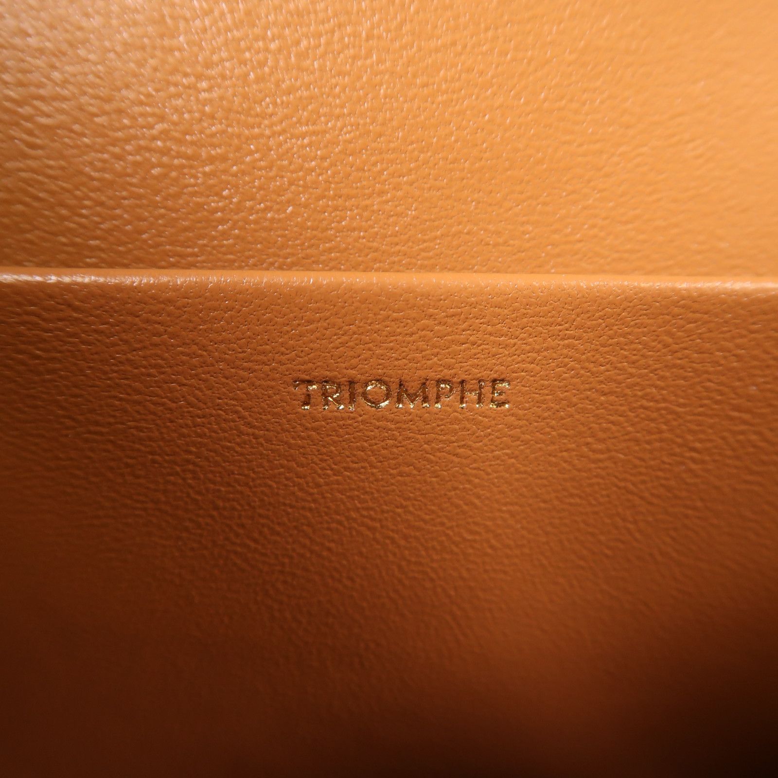 Celine Canvas Classique Triomphe Bag Gold Shoulder Bag Brown