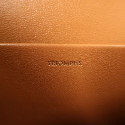 Celine Canvas Classique Triomphe Bag Gold Shoulder Bag Brown