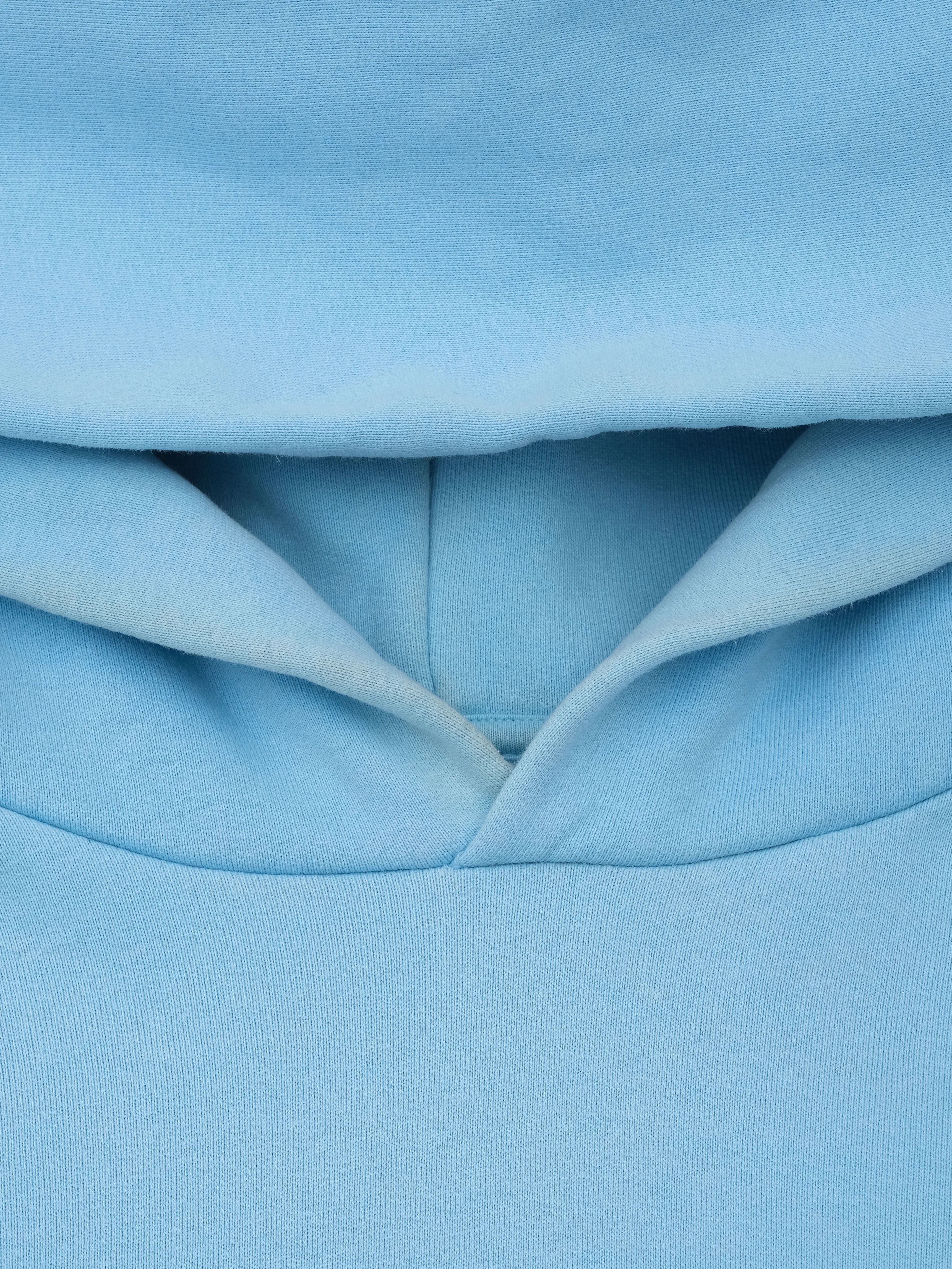 EXCELLENT Pangaia Blue Hoodie Size S Eco-Friendly Cotton