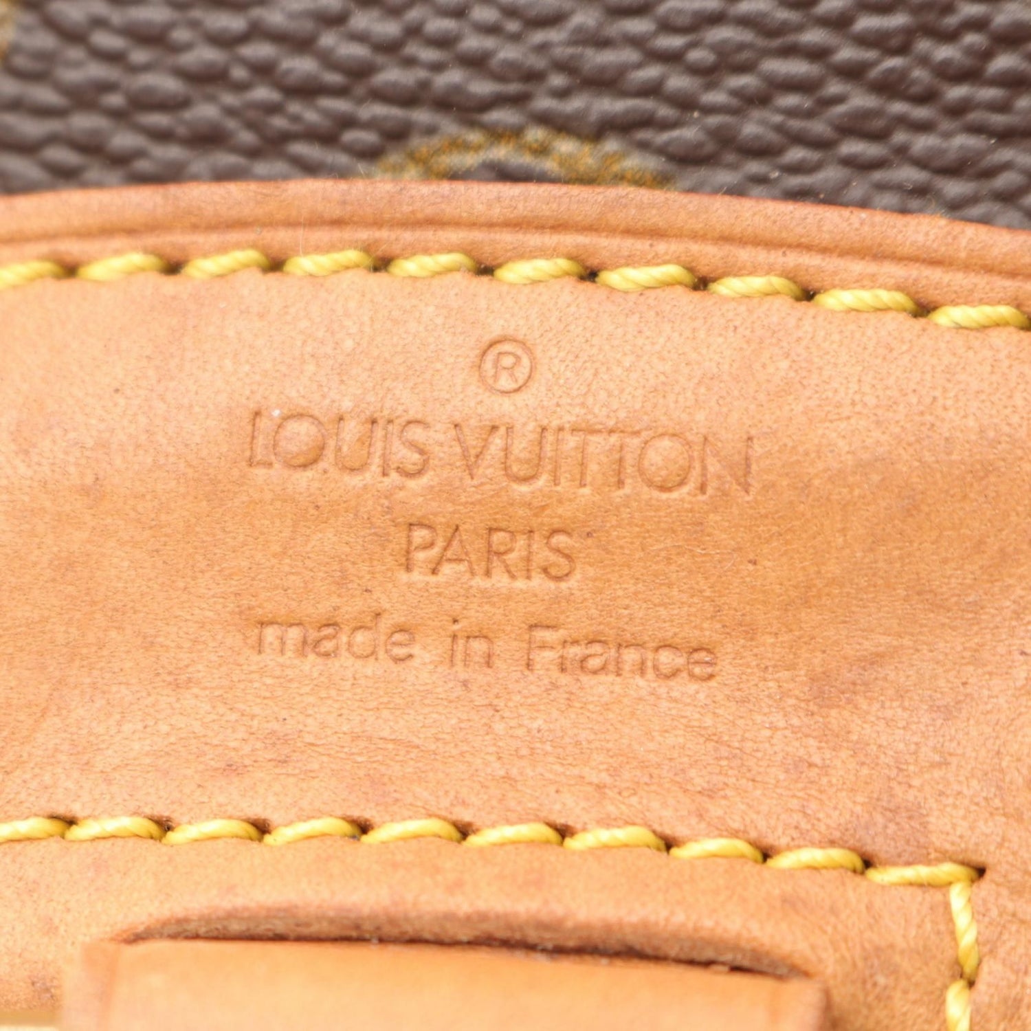 Louis Vuitton Mini Montsouris Brown Backpack Backpack M 51137