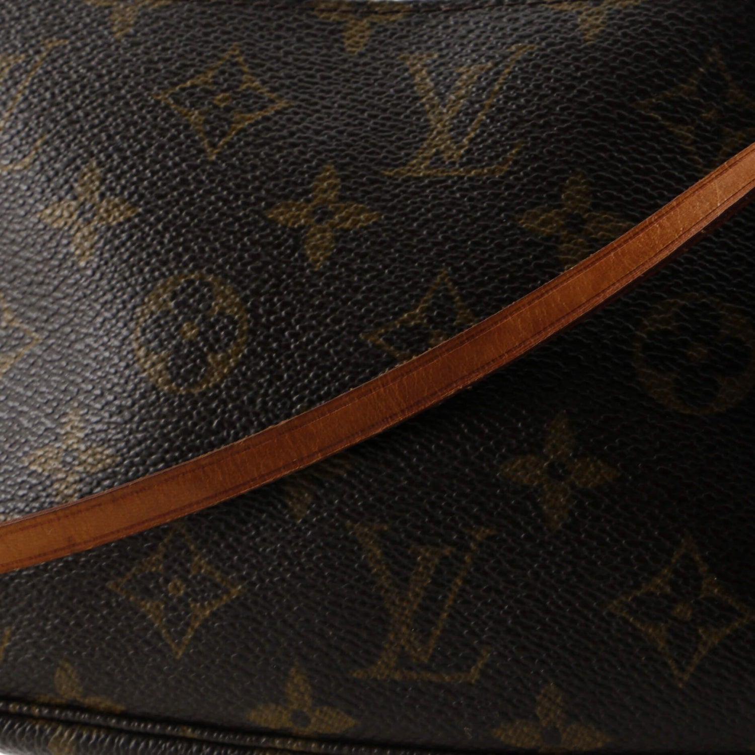 Louis Vuitton Pochette Accessoires, Monogram