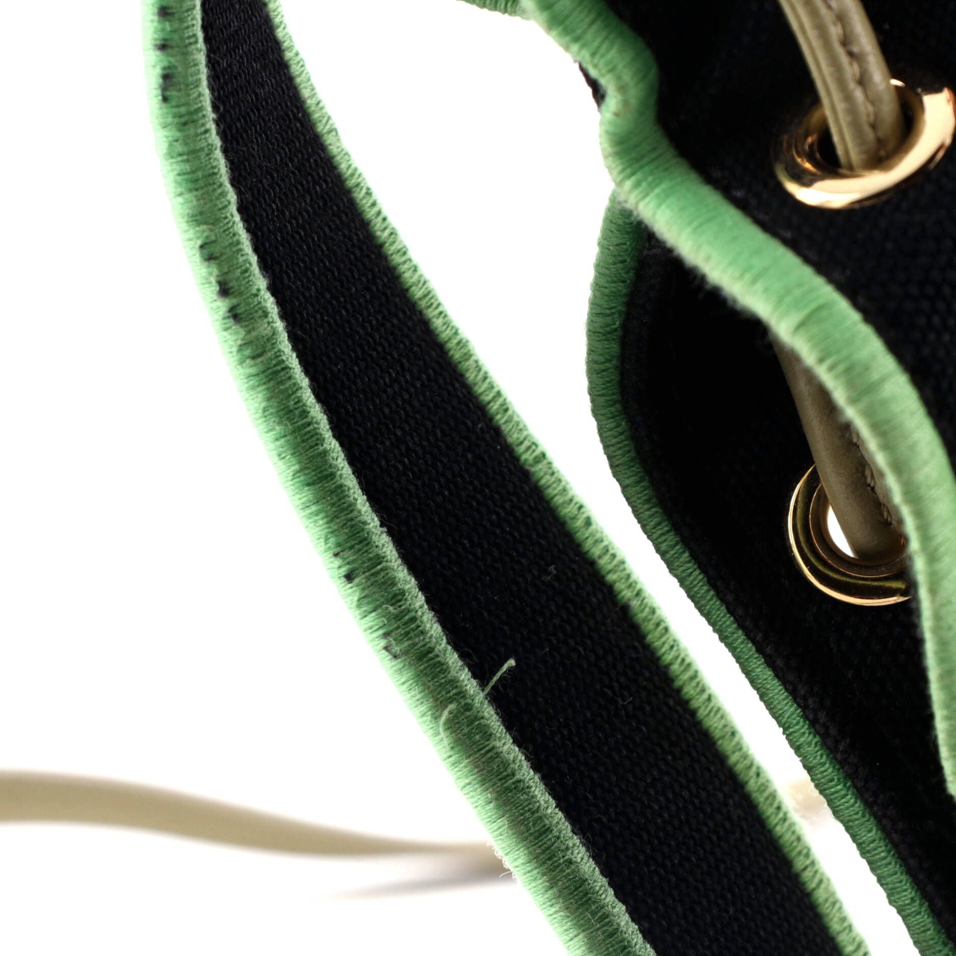 Fendi Mon Tresor Bucket Bag Embroidered Canvas Mini