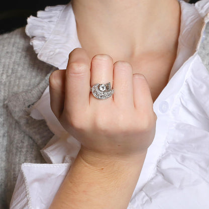 Platinum and diamonds ring