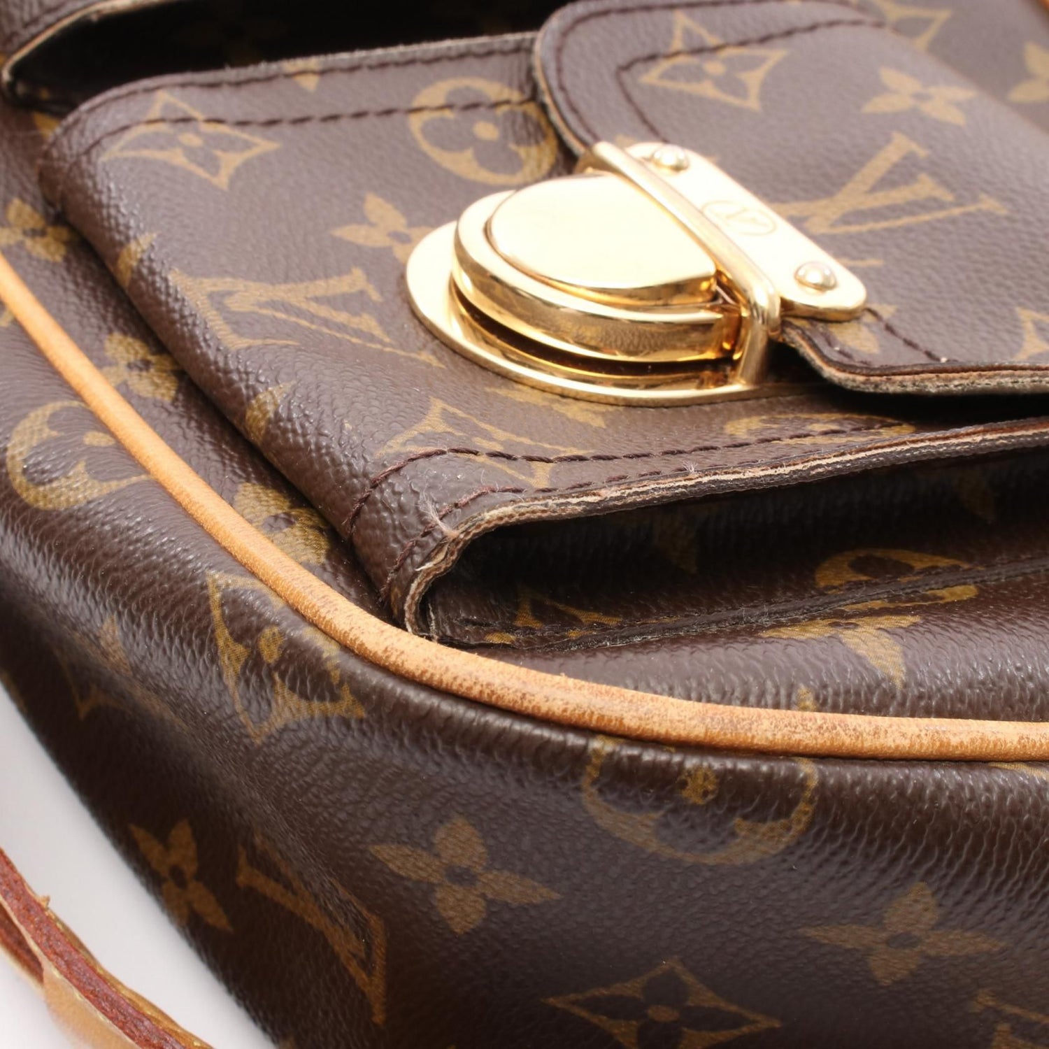 Louis Vuitton Hudson GM, Monogram