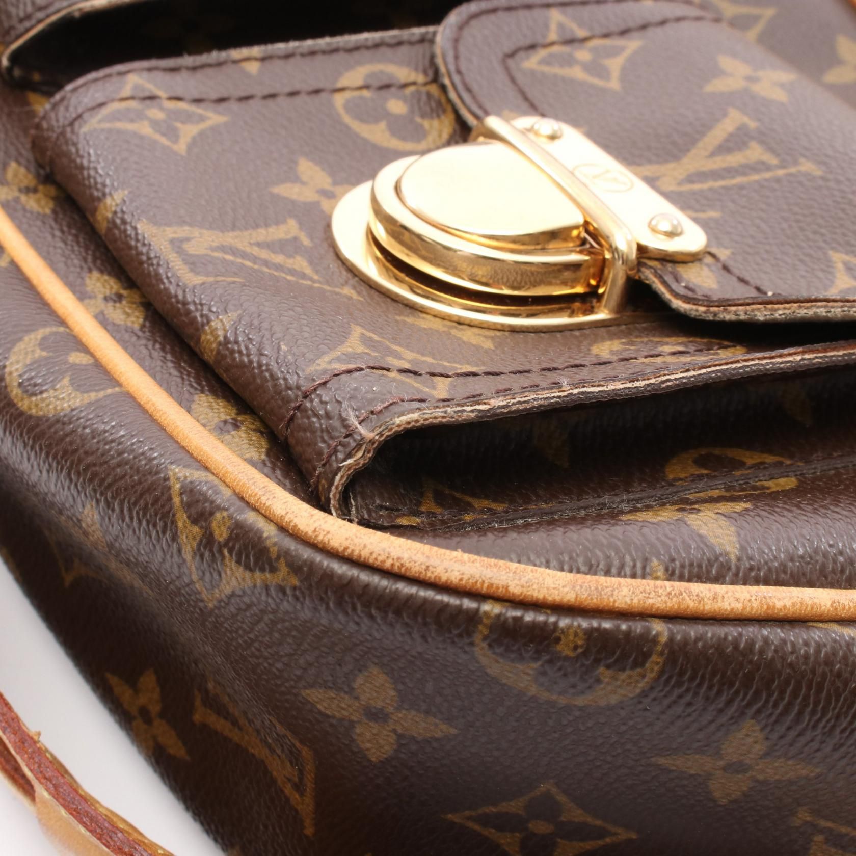 Louis Vuitton Hudson GM, Monogram