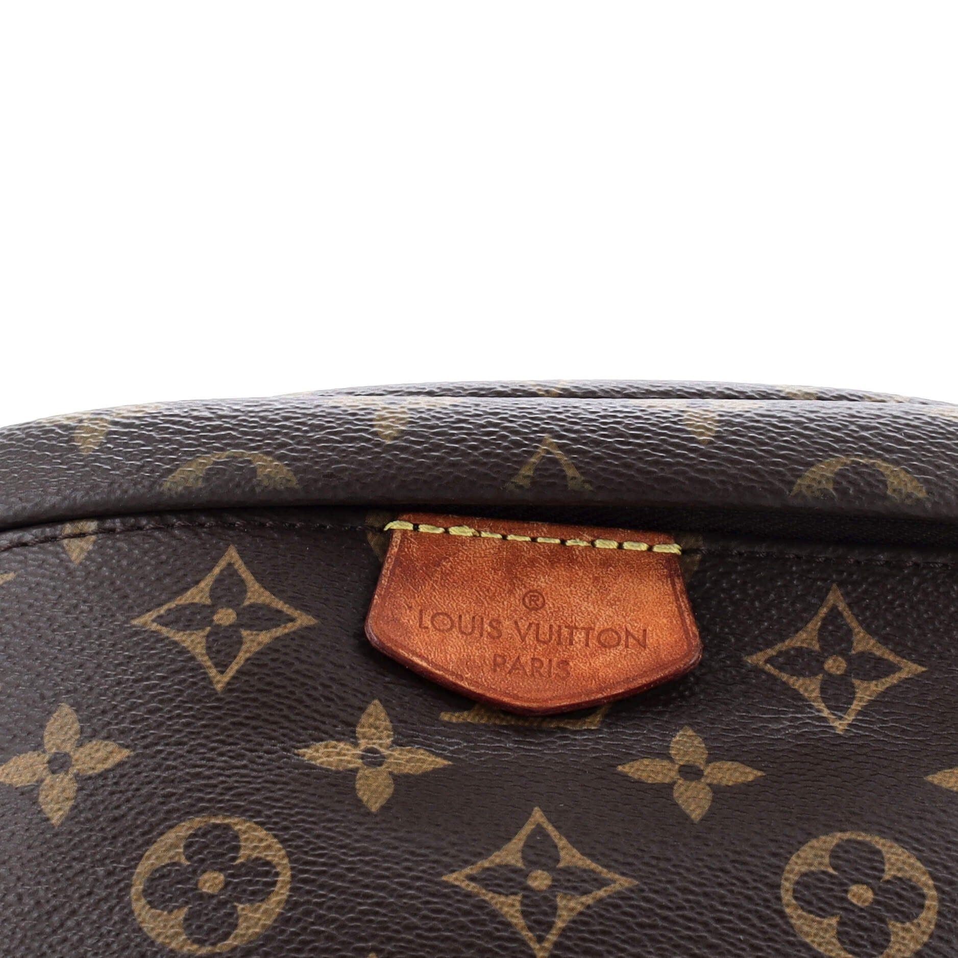 Louis Vuitton Bum Bag Monogram Canvas