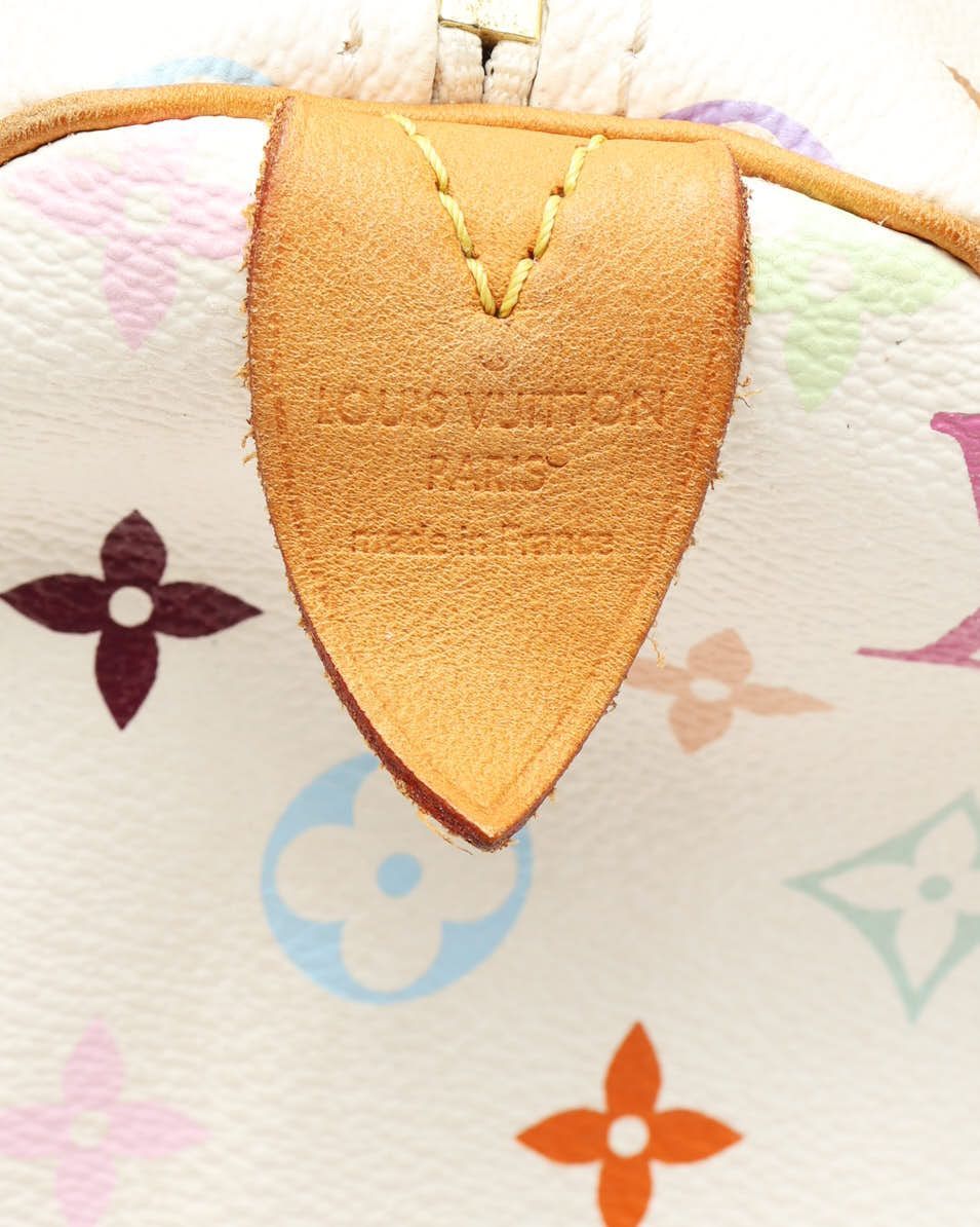 Louis Vuitton Murakami Speedy 30 Bag