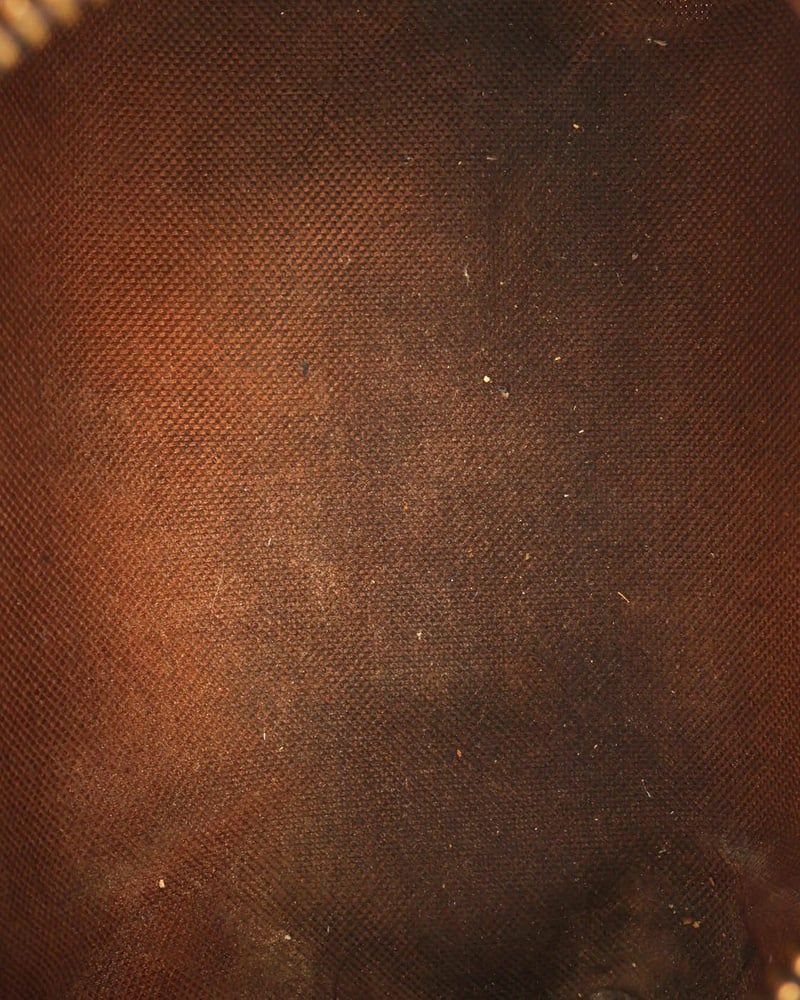 Louis Vuitton Monogram Nano Speedy Bag