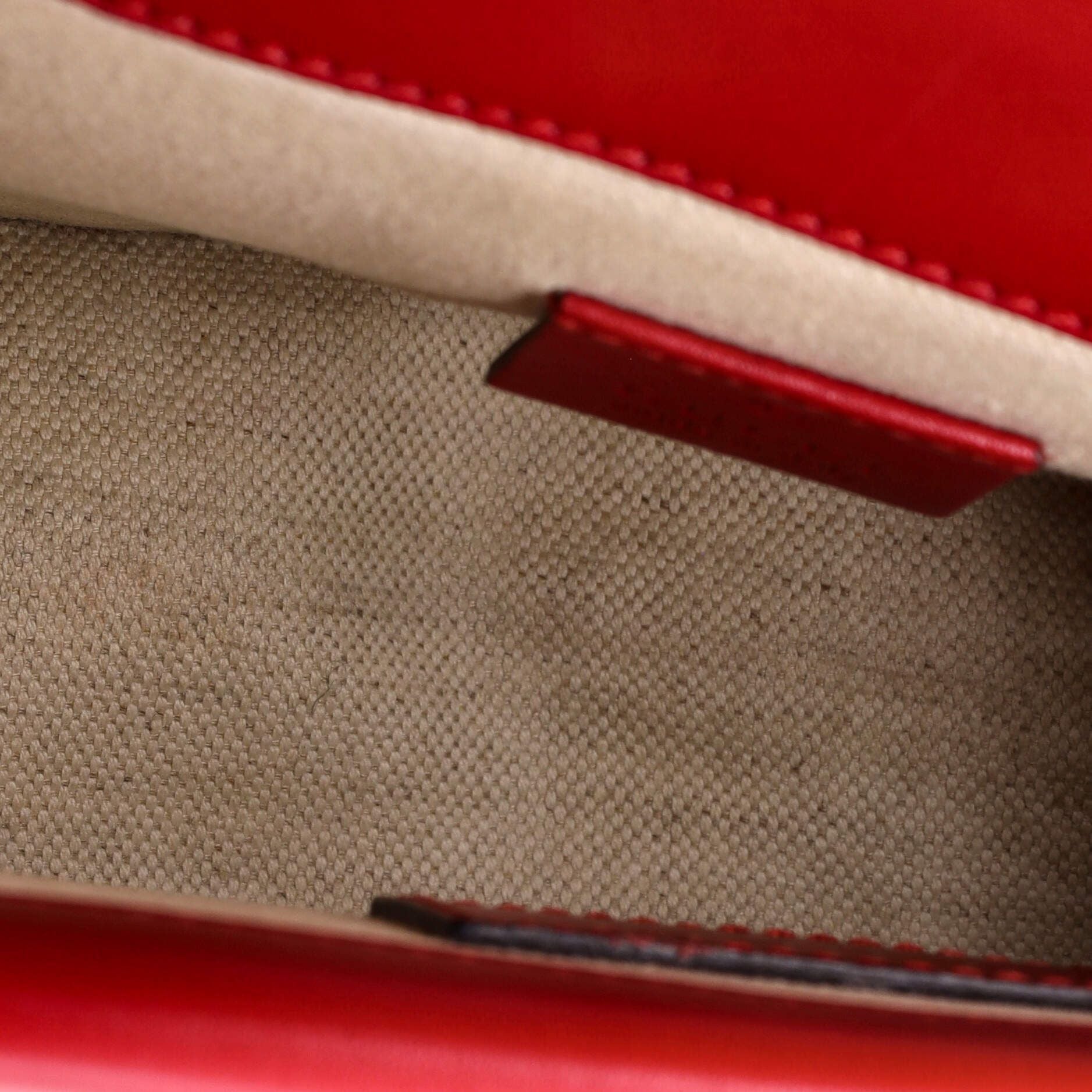 Gucci Dionysus Bag Limited Edition Painted Leather Mini