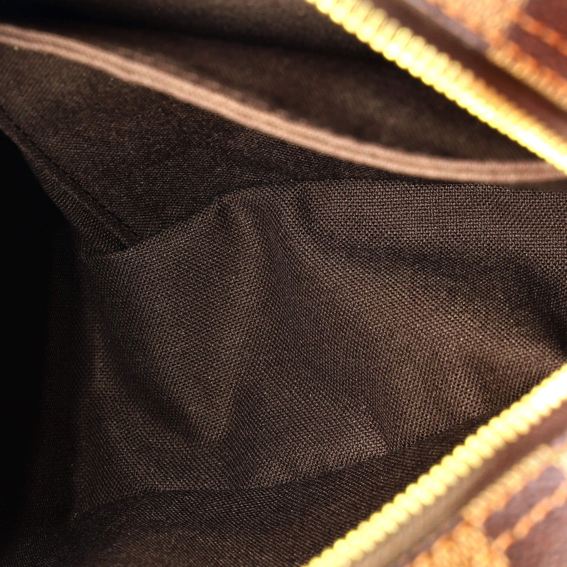 Louis Vuitton Olav PM, Damier Ebene