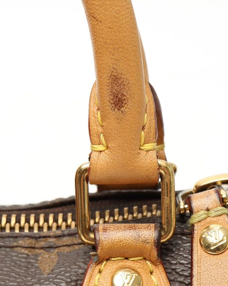 Louis Vuitton Monogram Nano Speedy Bag